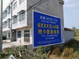 峨边彝族自治县墙体广告质量分析